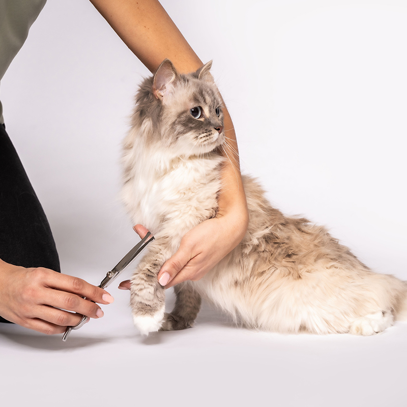 Beurer PP 110 Fluffy szőrnyíró - Image 7