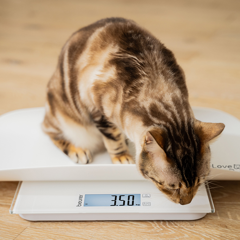 Beurer PP 170 Polly multifunkciós kisállat mérleg - Image 6