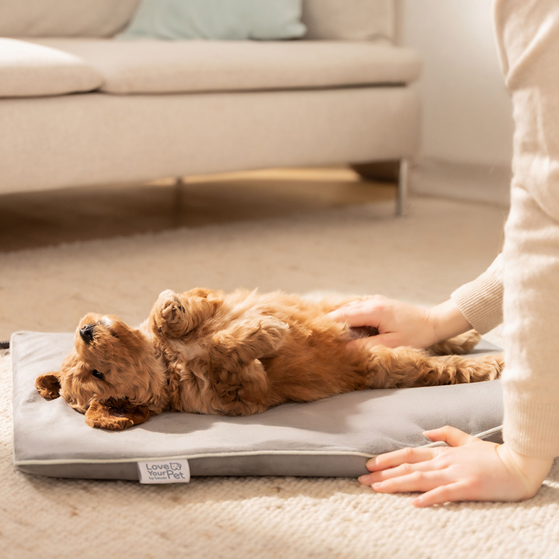 Beurer PP 210 Lilli fűthető kisállat fekvőhely - Image 4