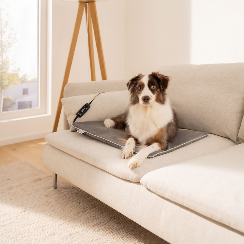 Beurer PP 220 Sammy fűthető kisállat fekvőhely - Image 2