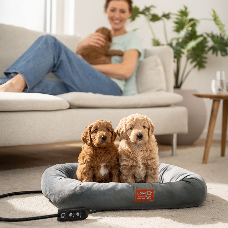 Beurer PP 250 Kira fűthető kisállat fekvőágy - Image 3