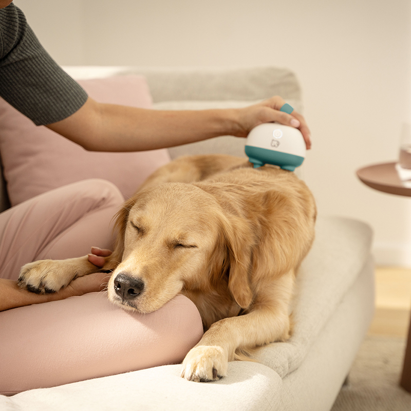 Beurer PP 410 Buddy masszírozó - Image 7